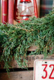 Forest Falls Garland