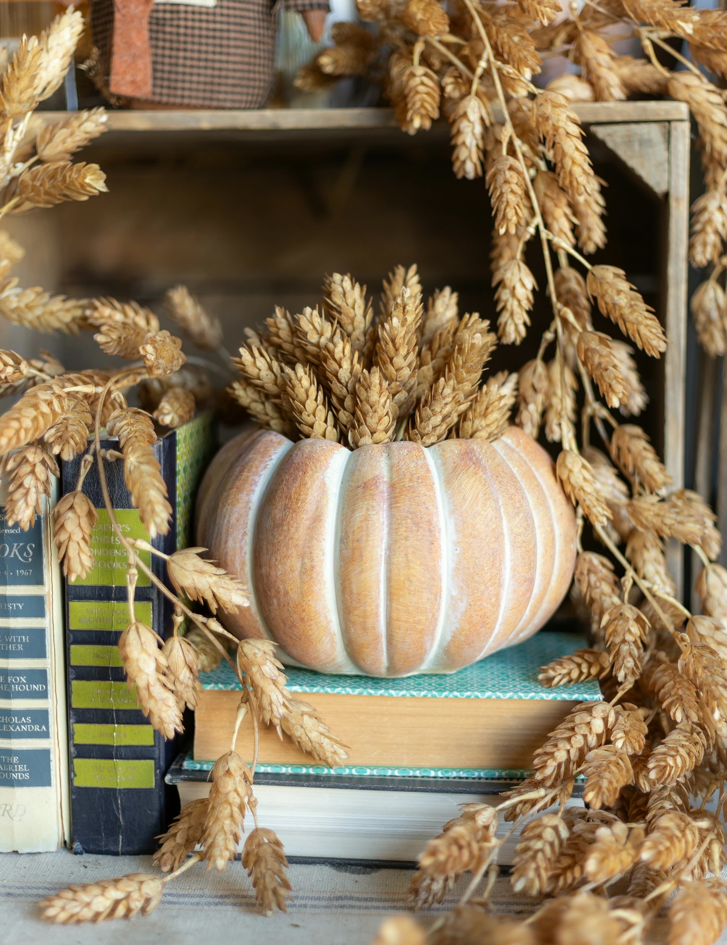 Cinderella Pumpkin Pot The Little Burlap Barn