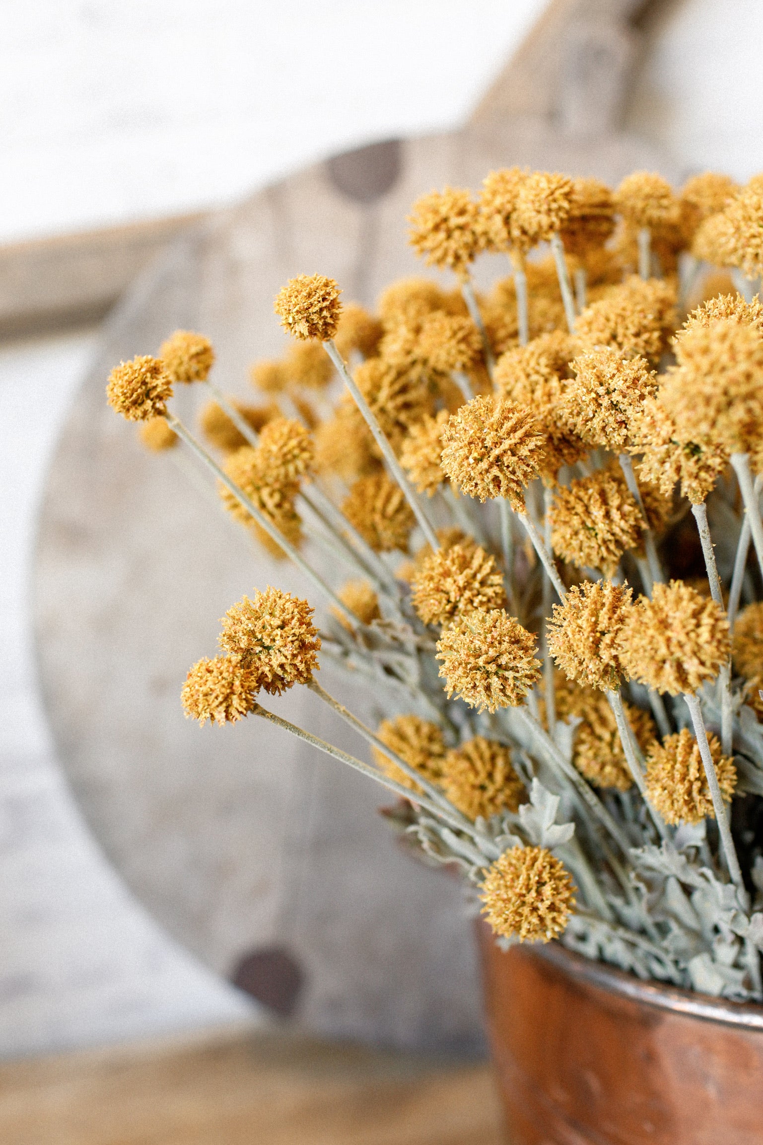 Whimsy Wildflower Bush (Mustard)