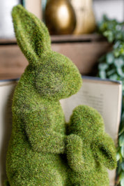 Mossy Bunny & Baby