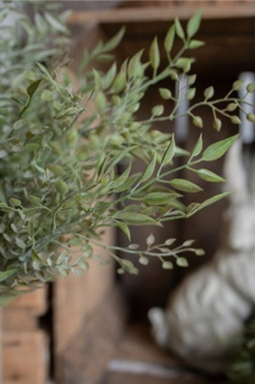 Mixed Sage Bush