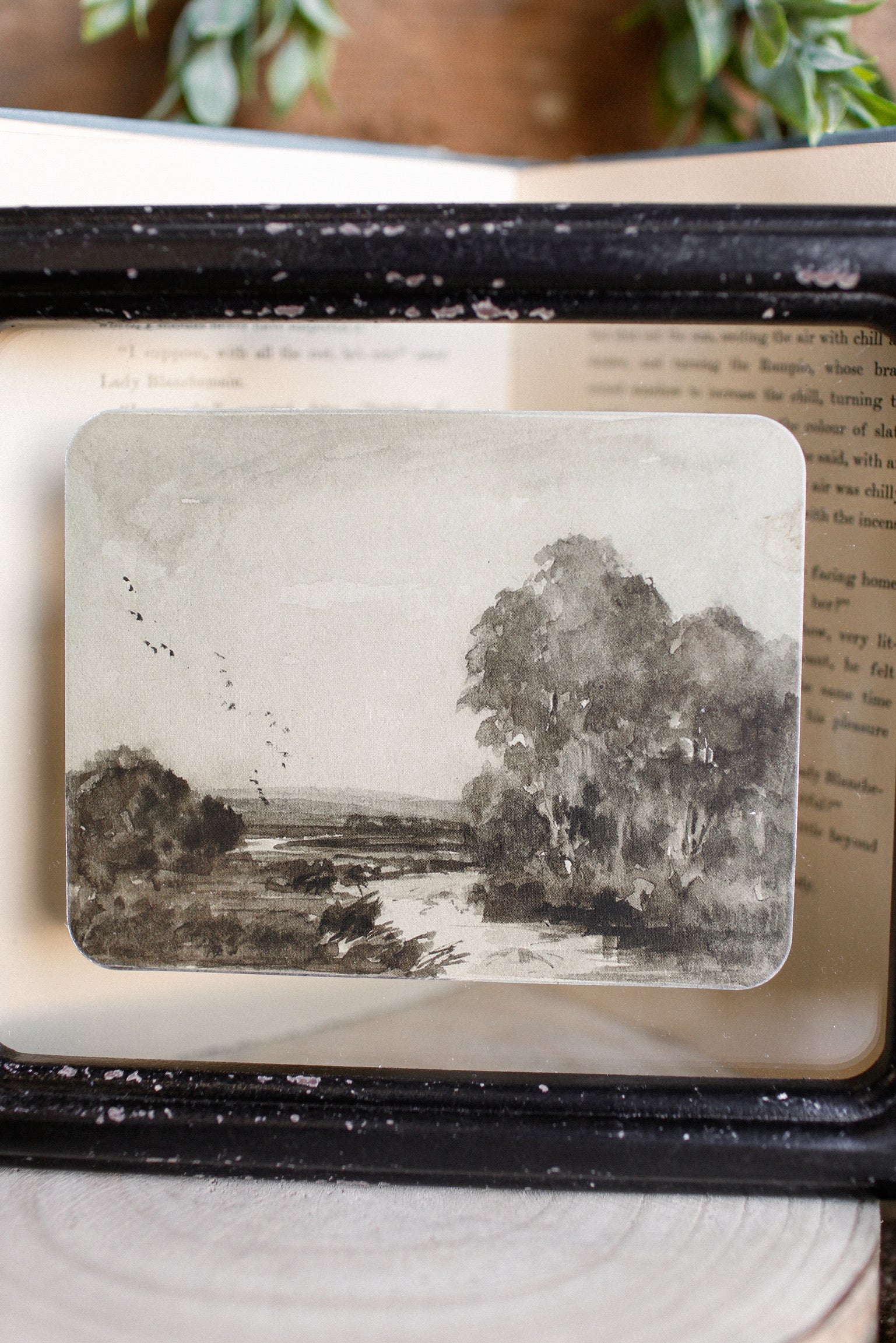 Landscape Framed Picture