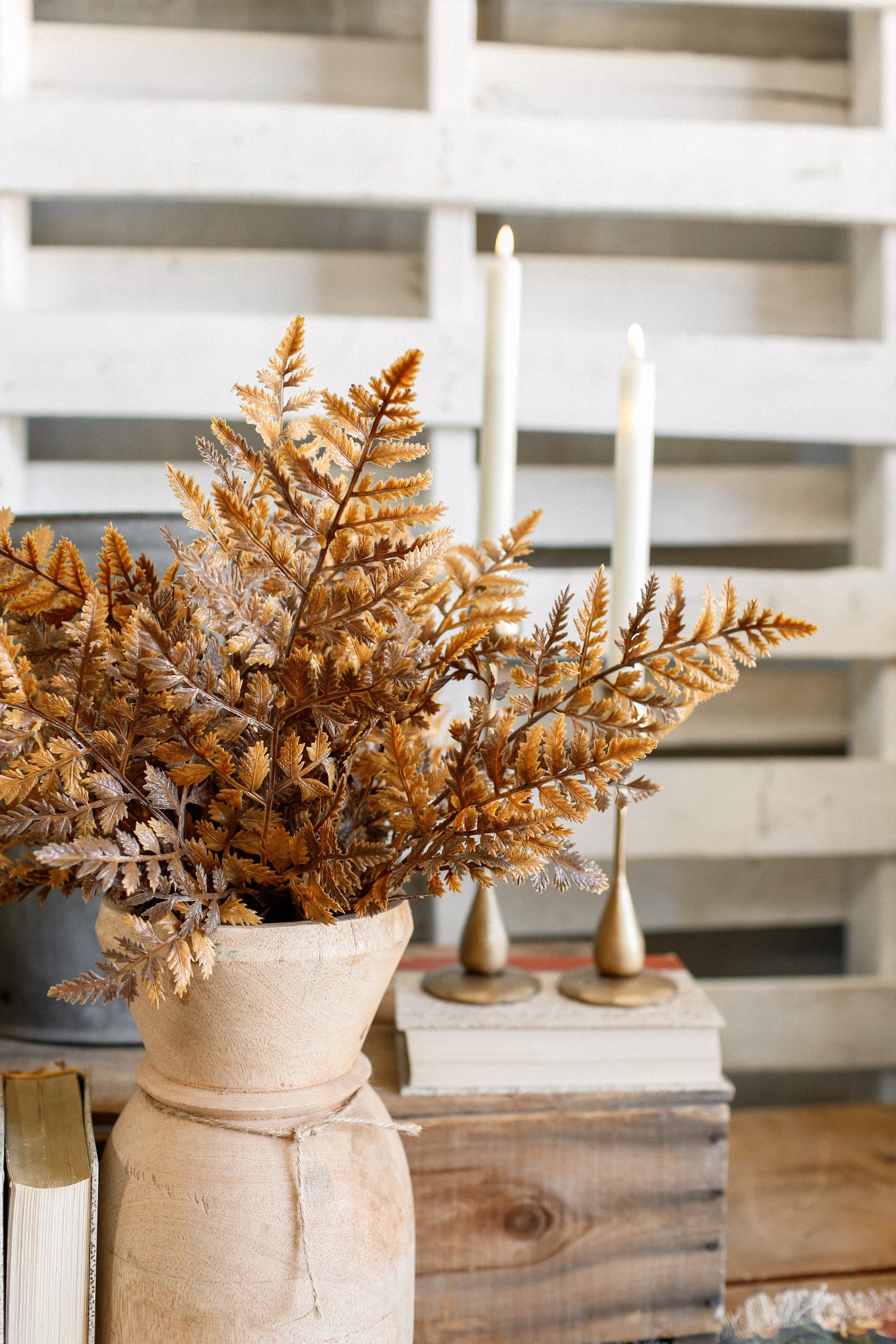 Autumnal Fern Bundle