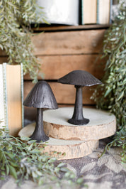 Cast Iron Mushroom