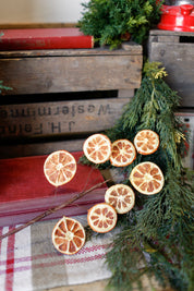 Dried Orange Slice Branch