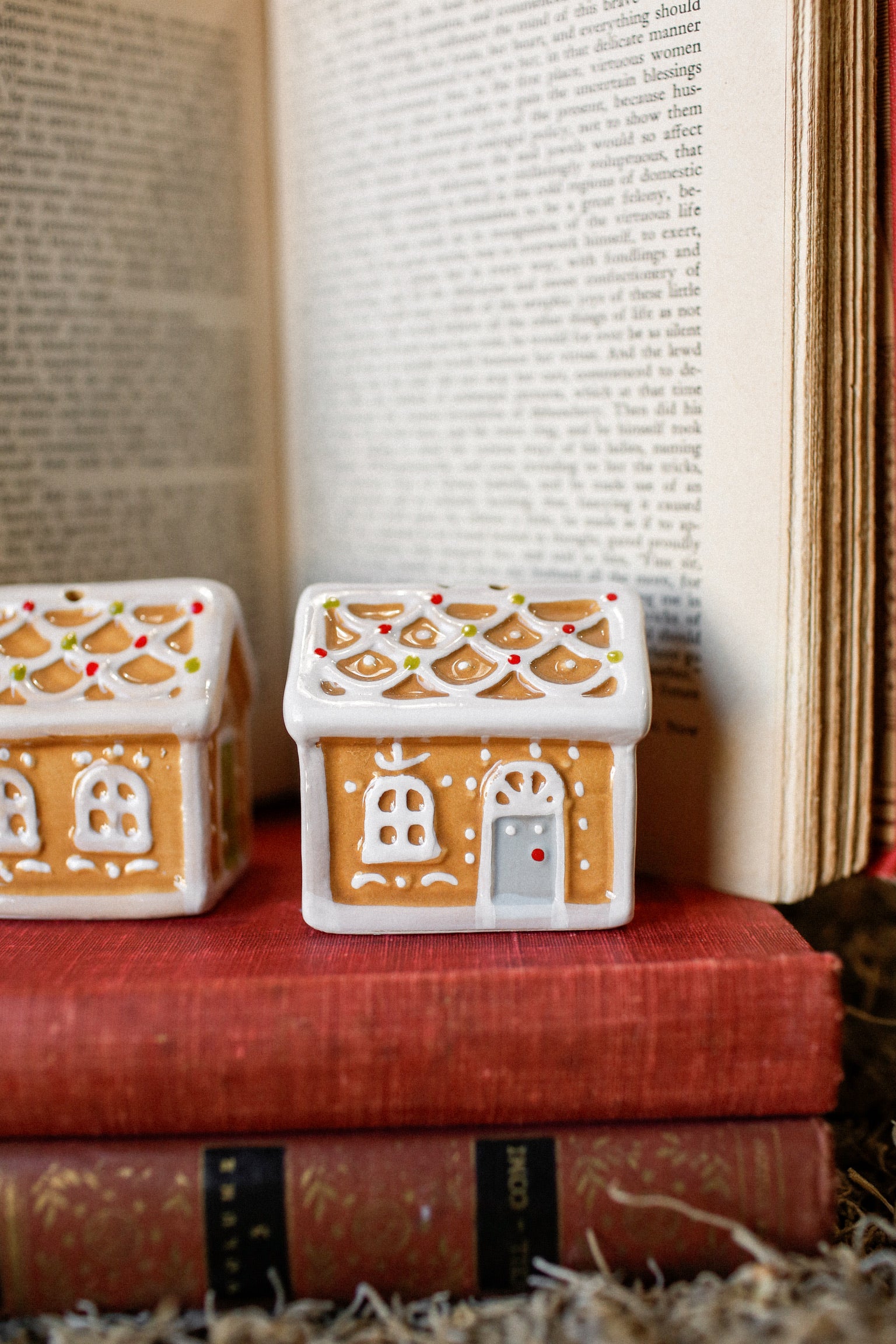 Gingerbread House S+P Shakers