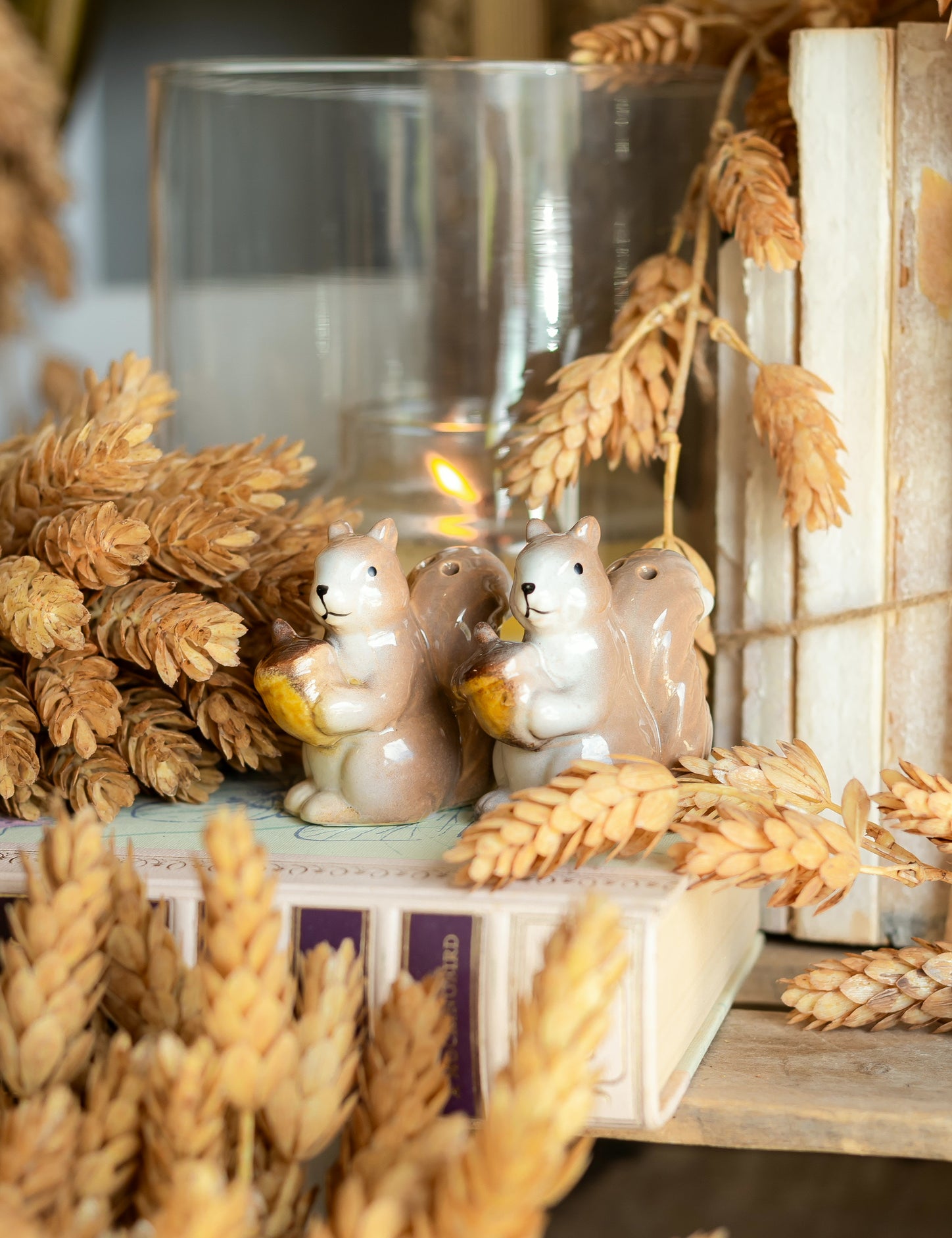 Vintage Squirrel Salt and Pepper Shakers The Little Burlap Barn®