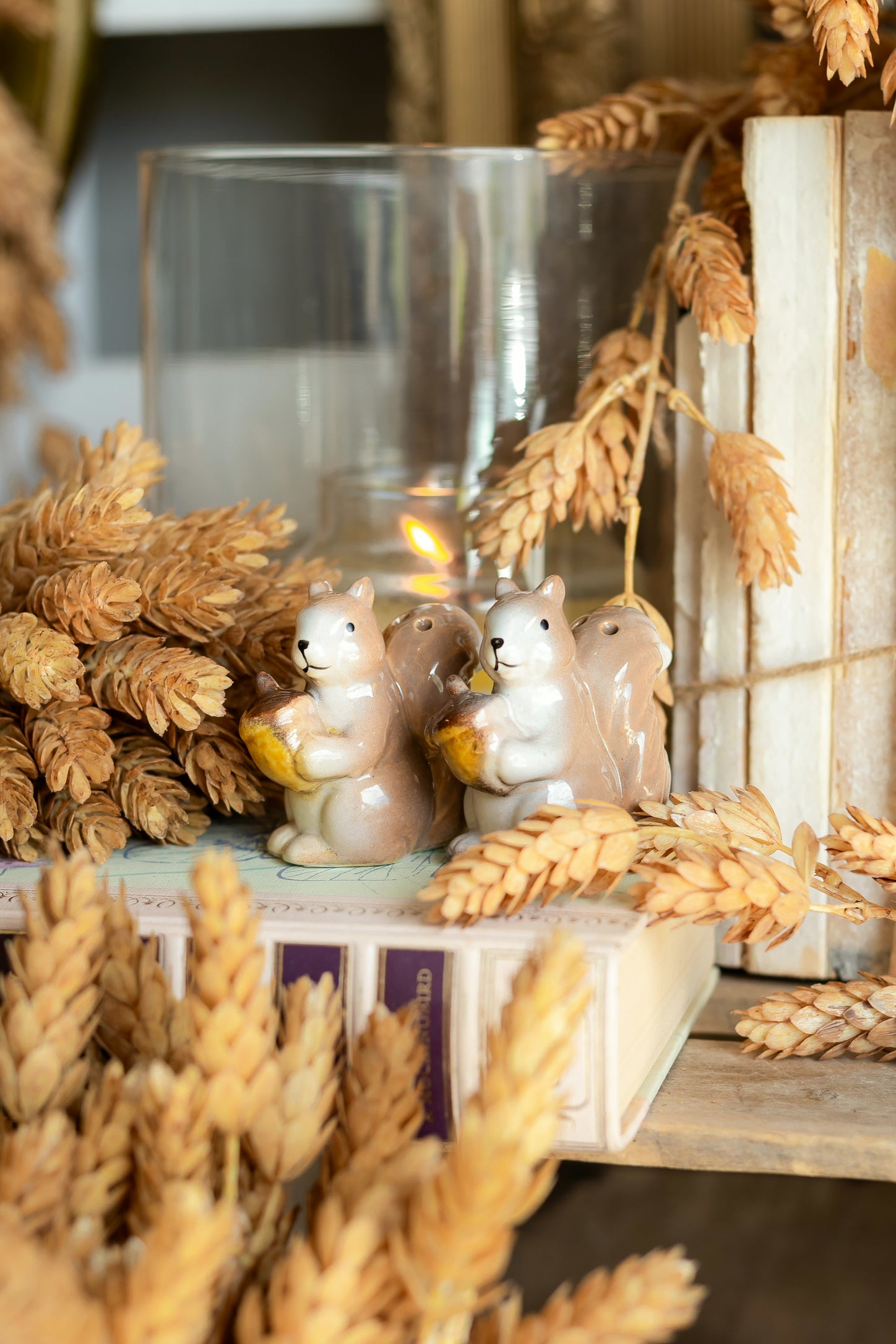 Vintage Squirrel Salt and Pepper Shakers The Little Burlap Barn®