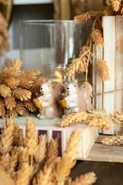 Vintage Squirrel Salt and Pepper Shakers The Little Burlap Barn®