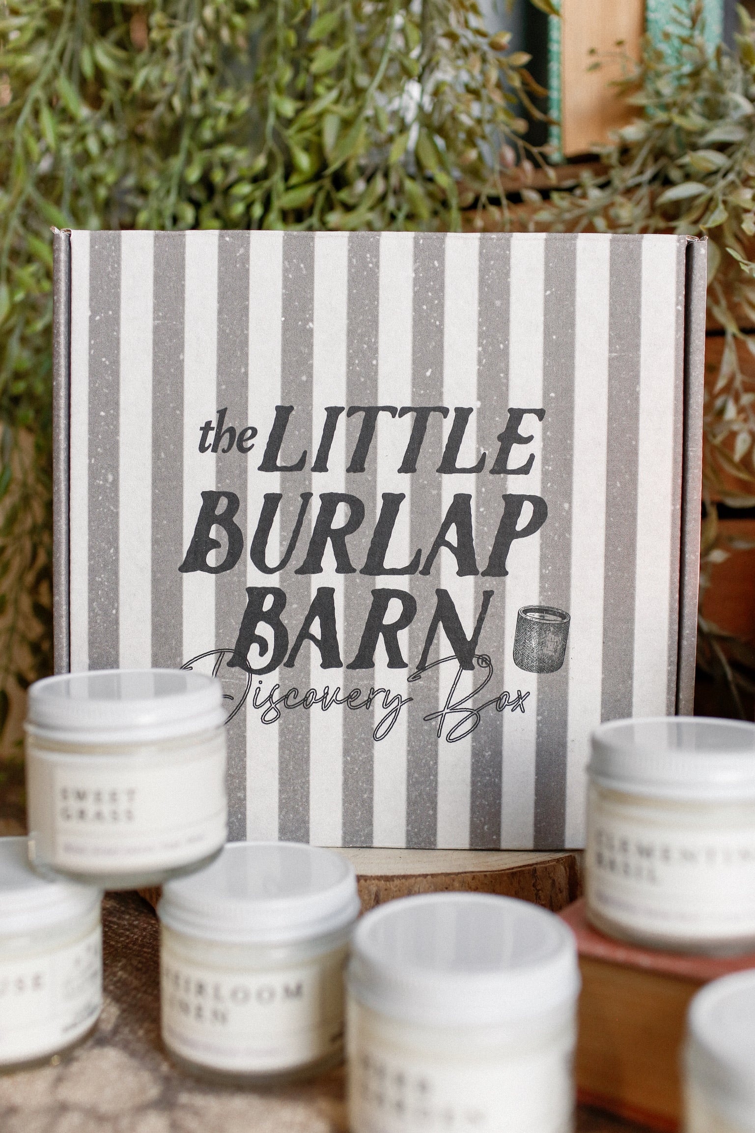 TLBB Candle Discovery Box