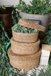 Hand-Woven Seagrass Basket The Little Burlap Barn®