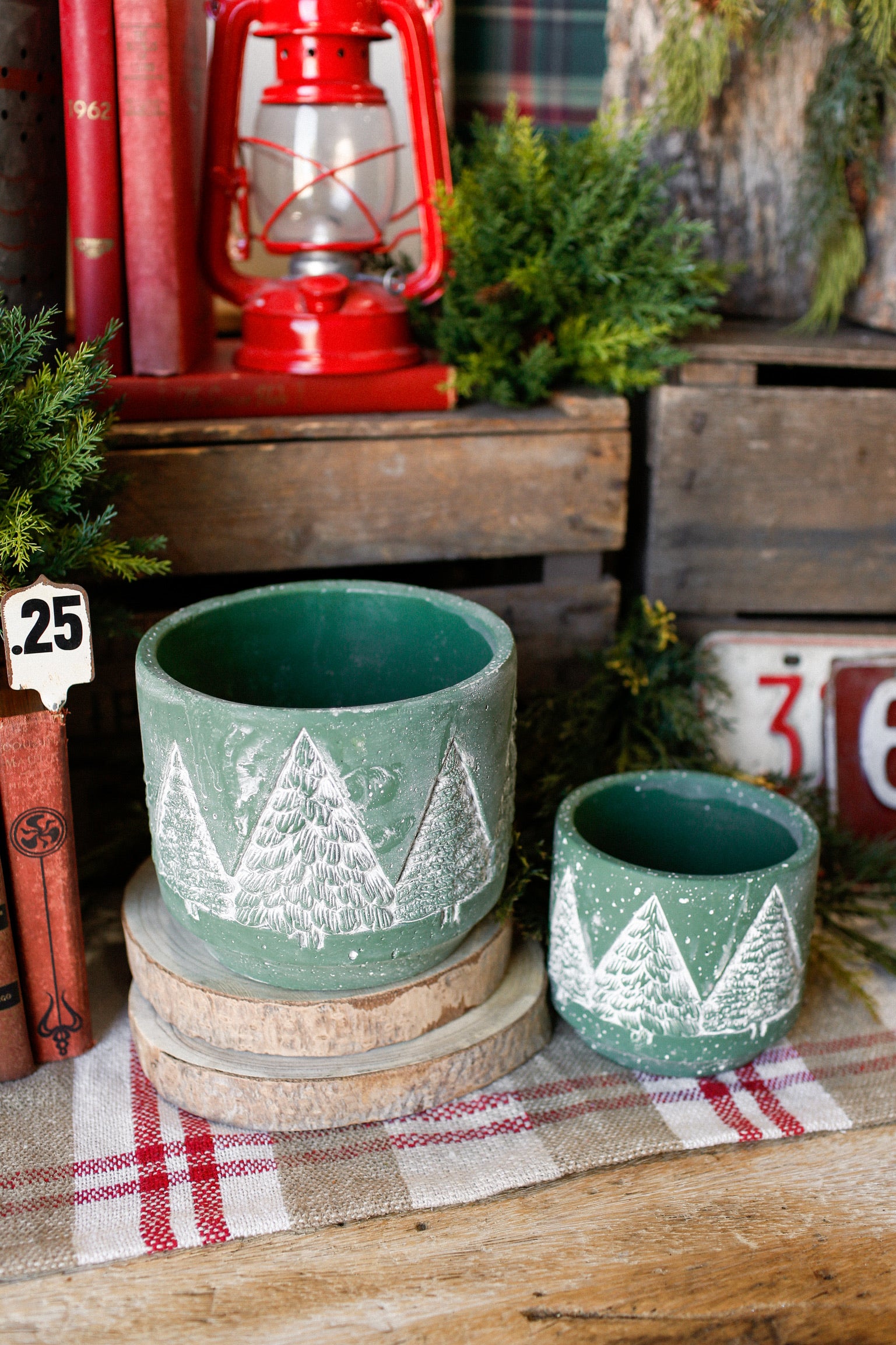 Concrete Evergreen Tree Pot