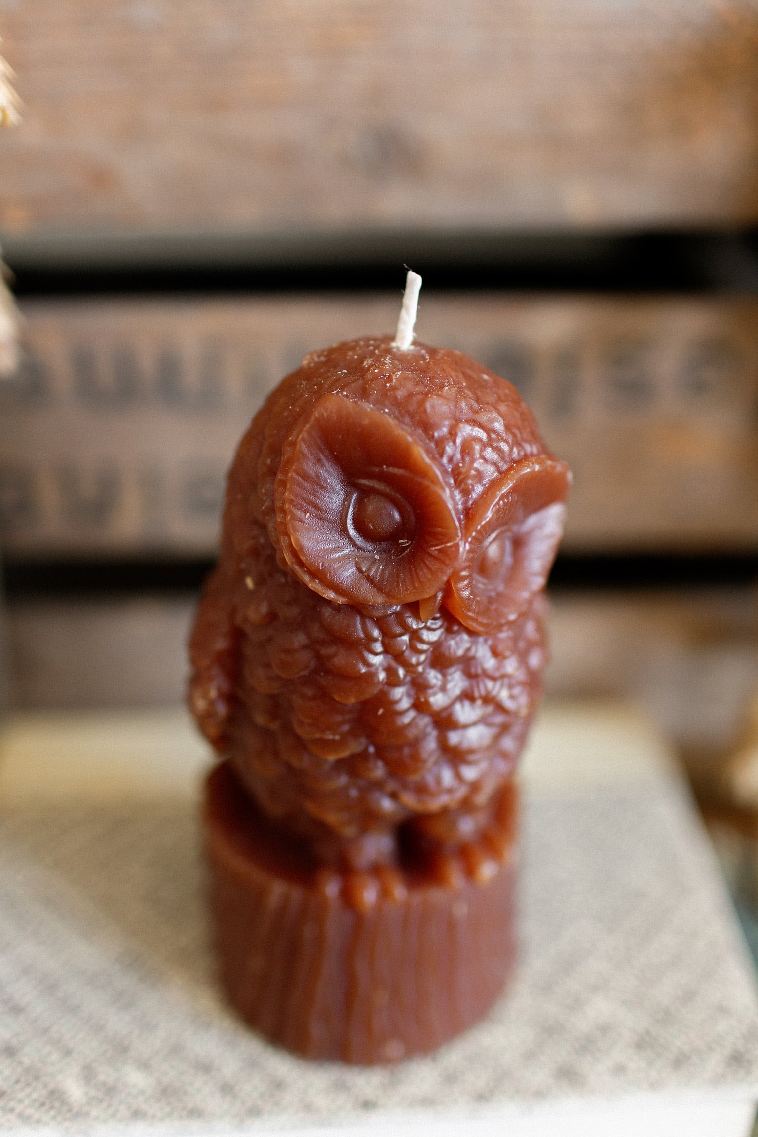 Owl Candle