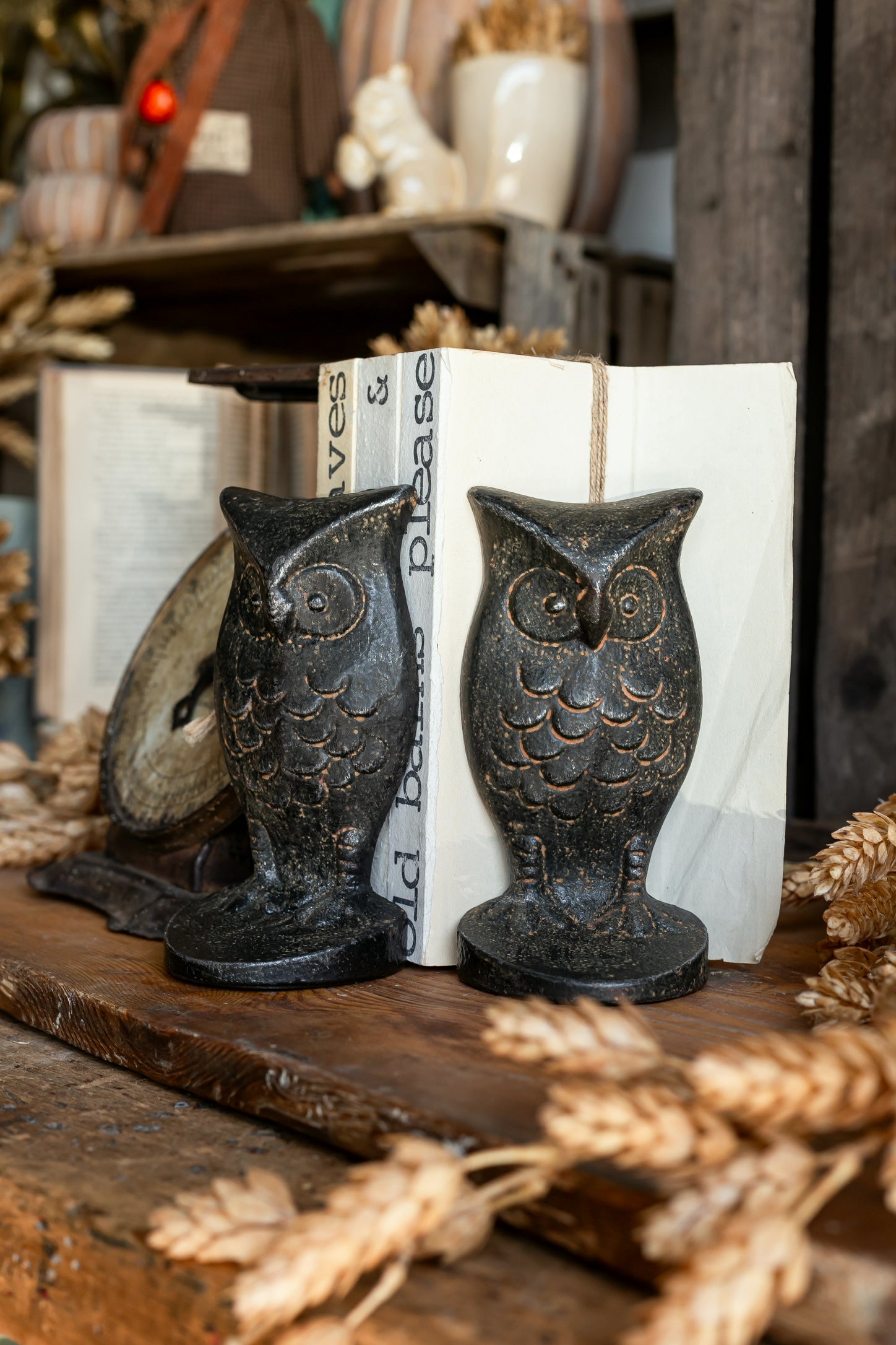 Cast Iron Owl Shaped Bookends Creative Co-Op