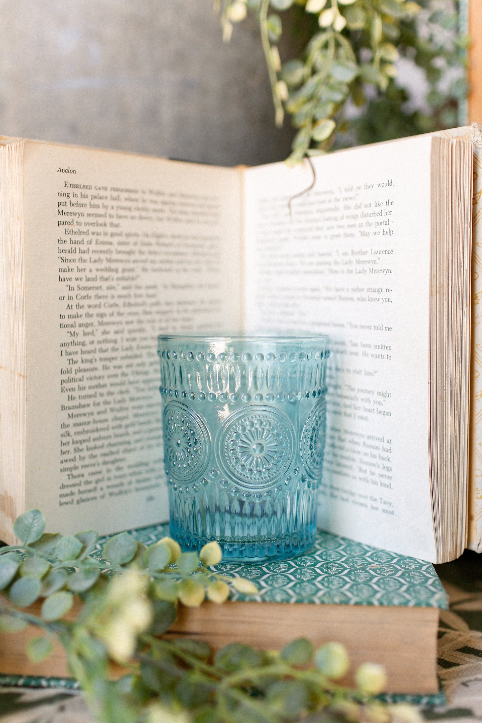 Embossed Drinking Glasses The Little Burlap Barn®