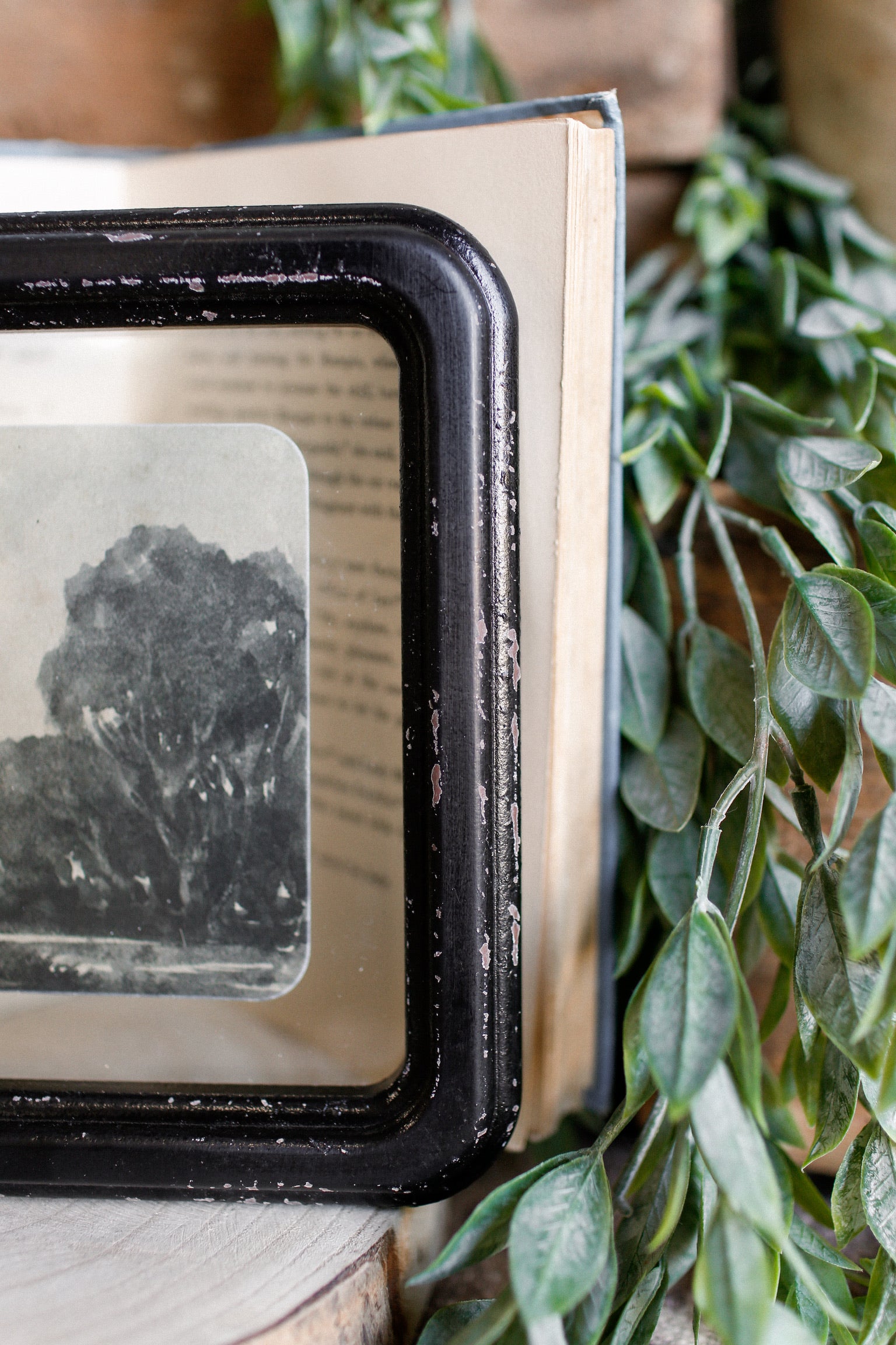 Landscape Framed Picture