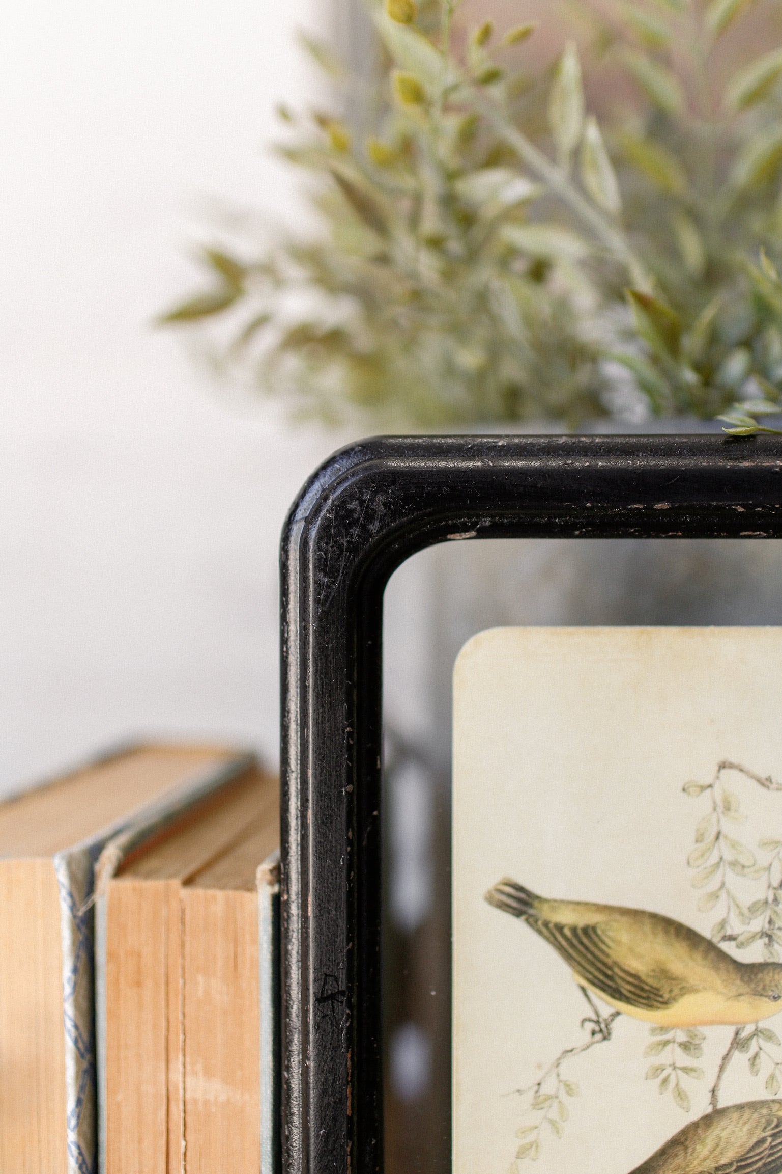 Bird Framed Picture The Little Burlap Barn®