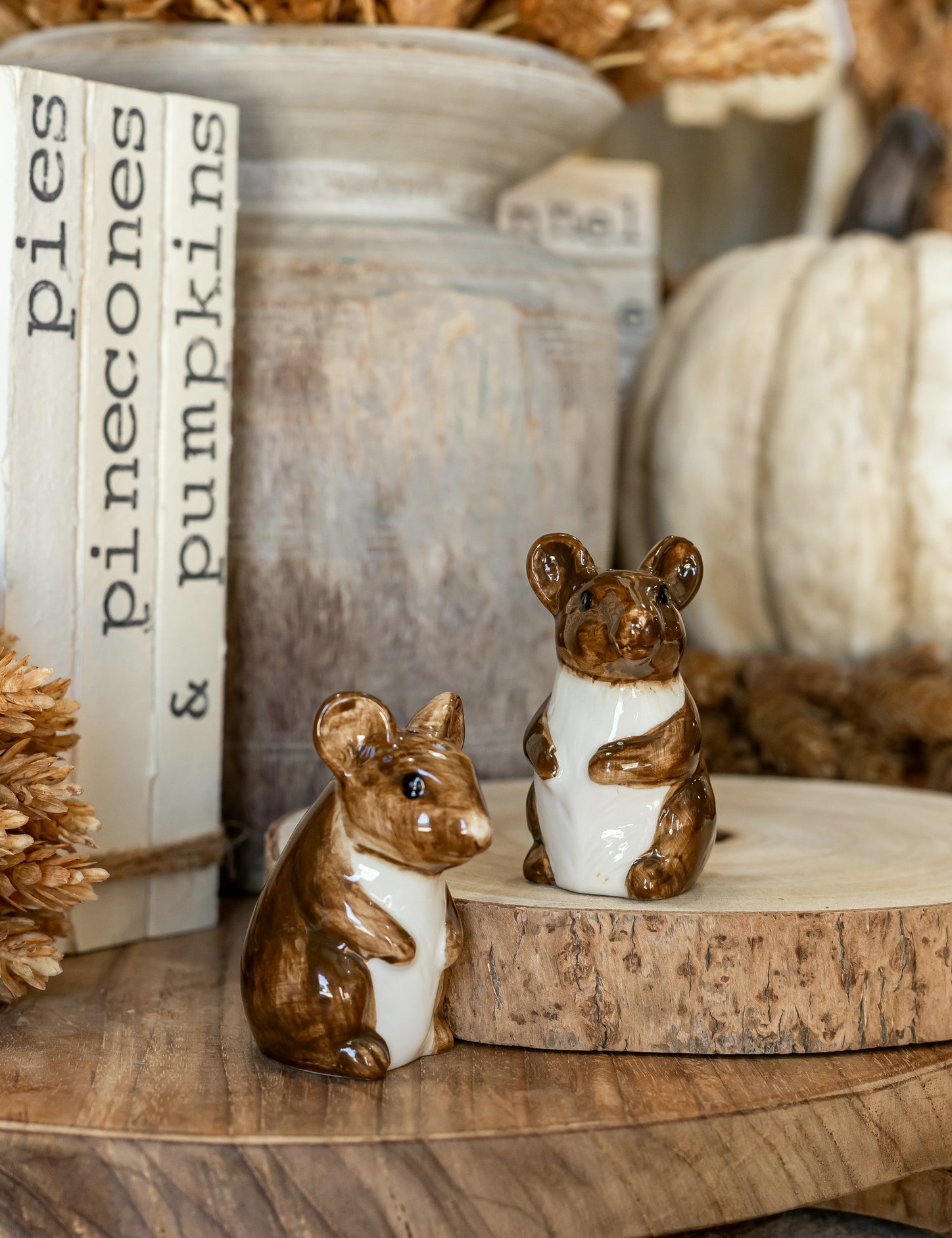 Hand-Painted Stoneware Mouse Salt and Pepper Shakers Creative Co-Op