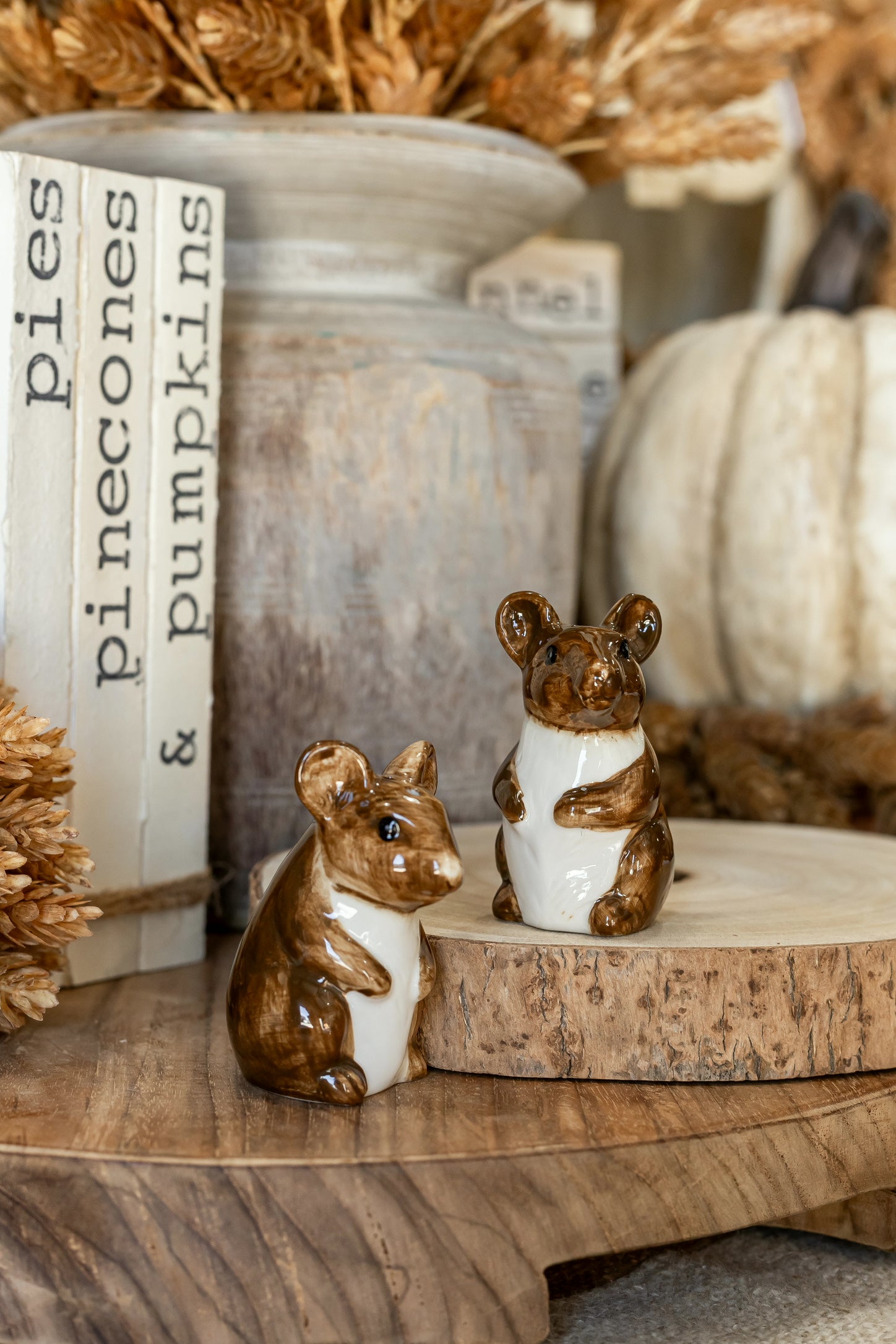 Hand-Painted Stoneware Mouse Salt and Pepper Shakers Creative Co-Op