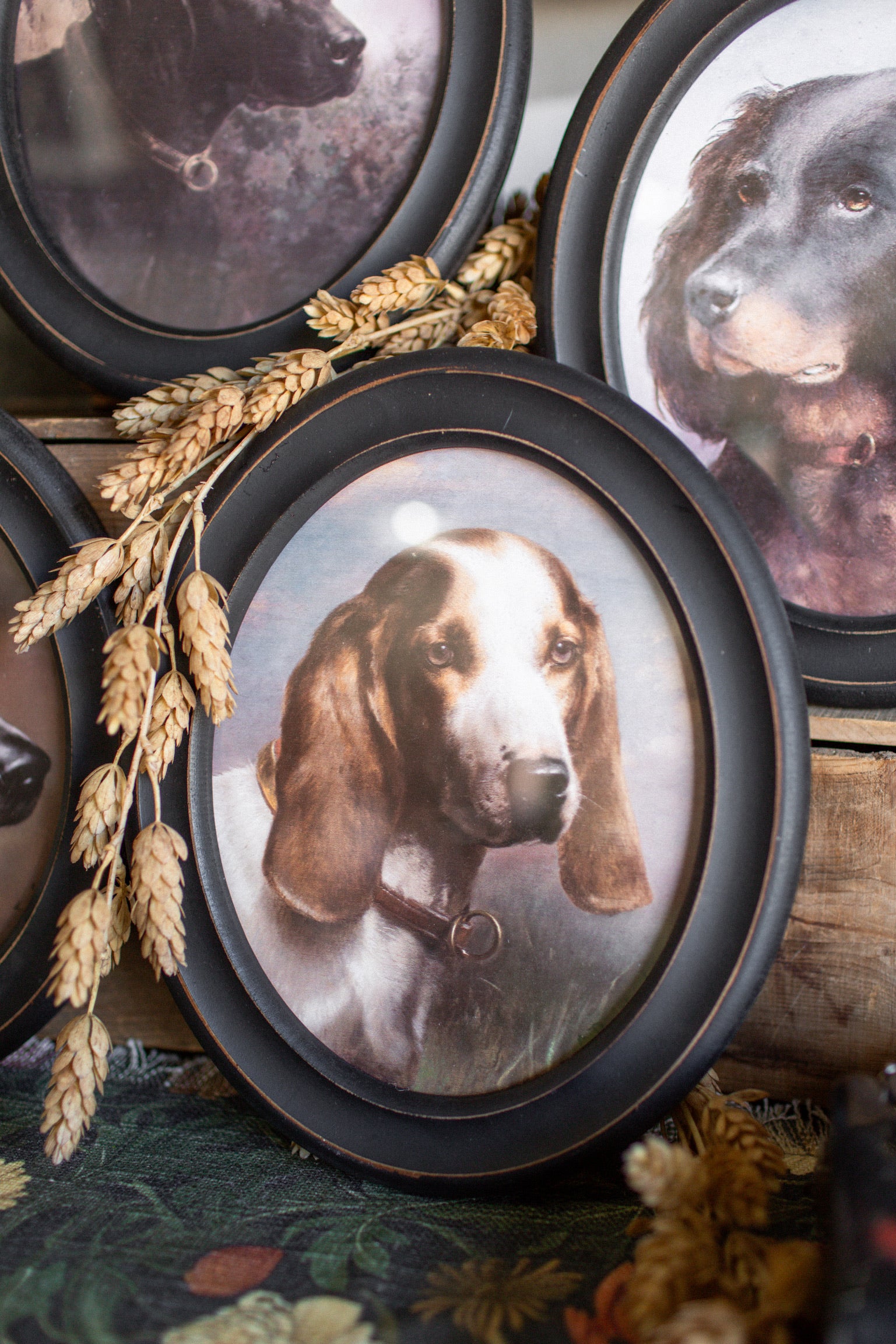 Hunting Dog Framed Print