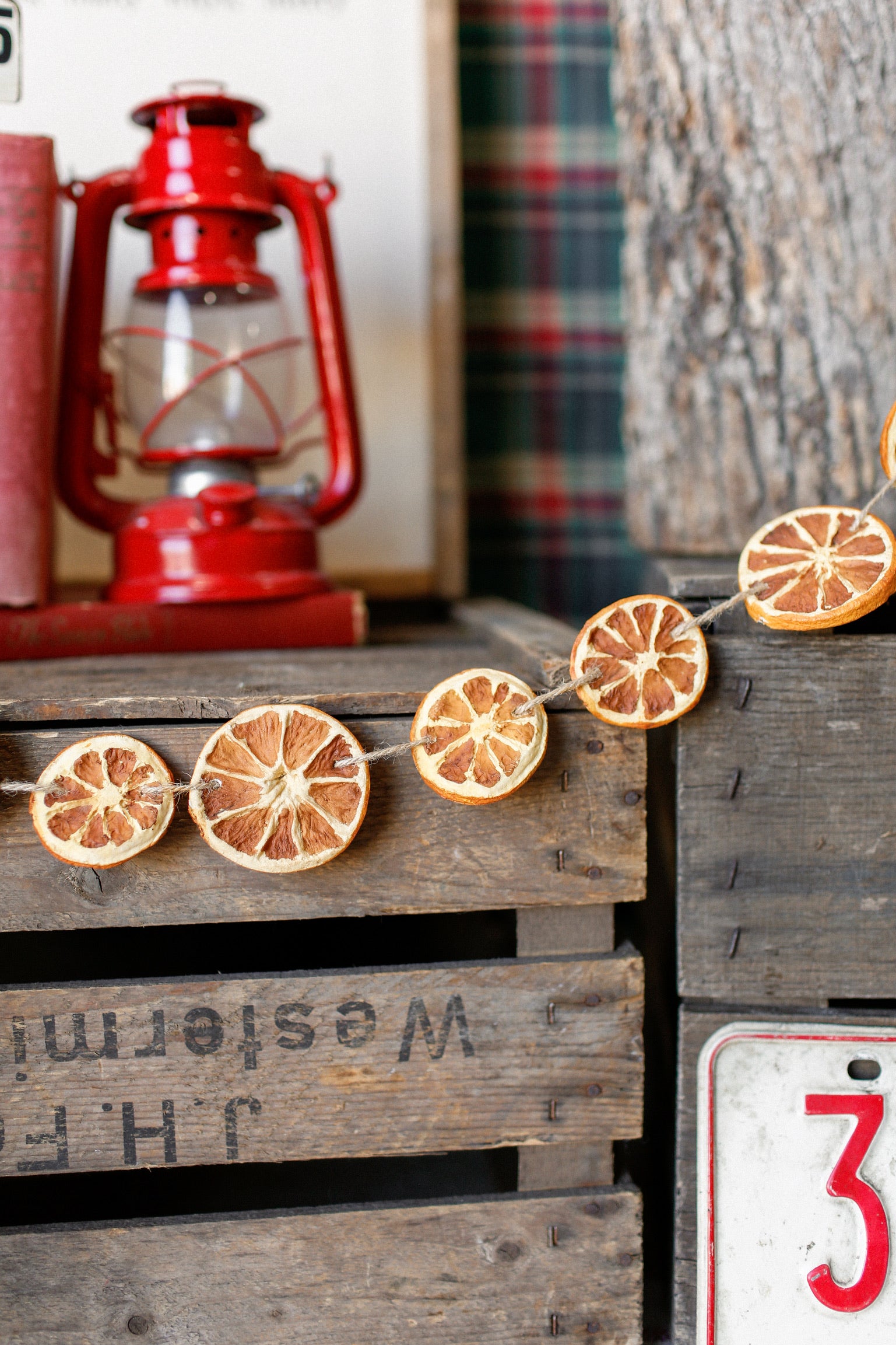 Dried Orange Slice Garland