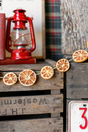 Dried Orange Slice Garland