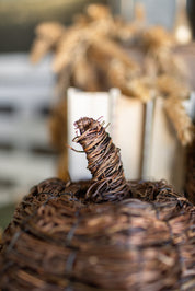 Cottage Vine Pumpkin