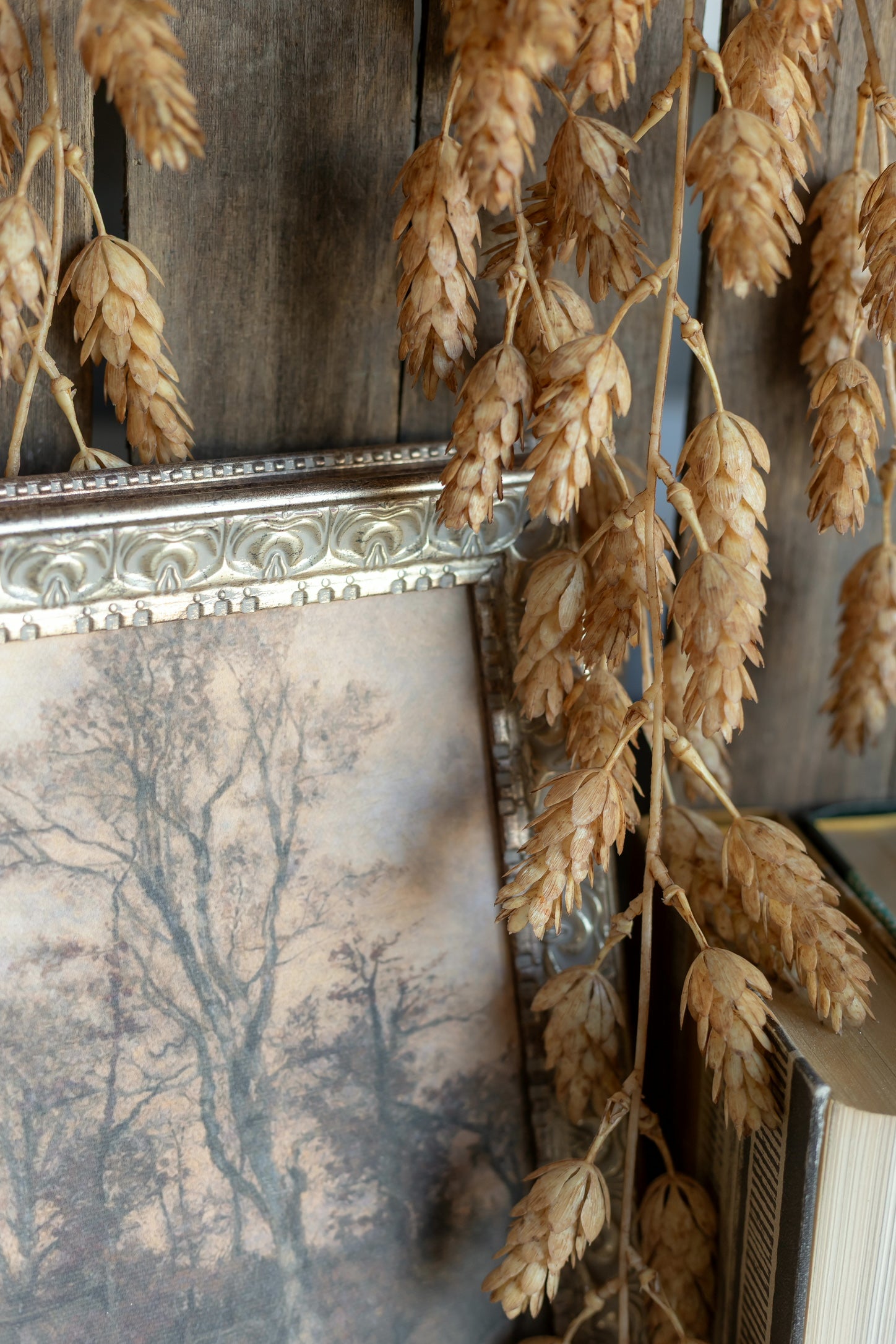 Scarecrow Framed Art The Little Burlap Barn