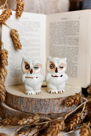 Vintage Ceramic Owl S&P Shakers