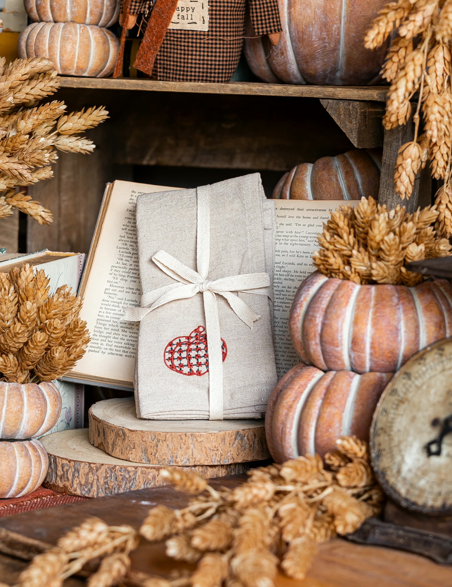 Woven Chambray Embroidered Pumpkins Napkins Creative Co-Op