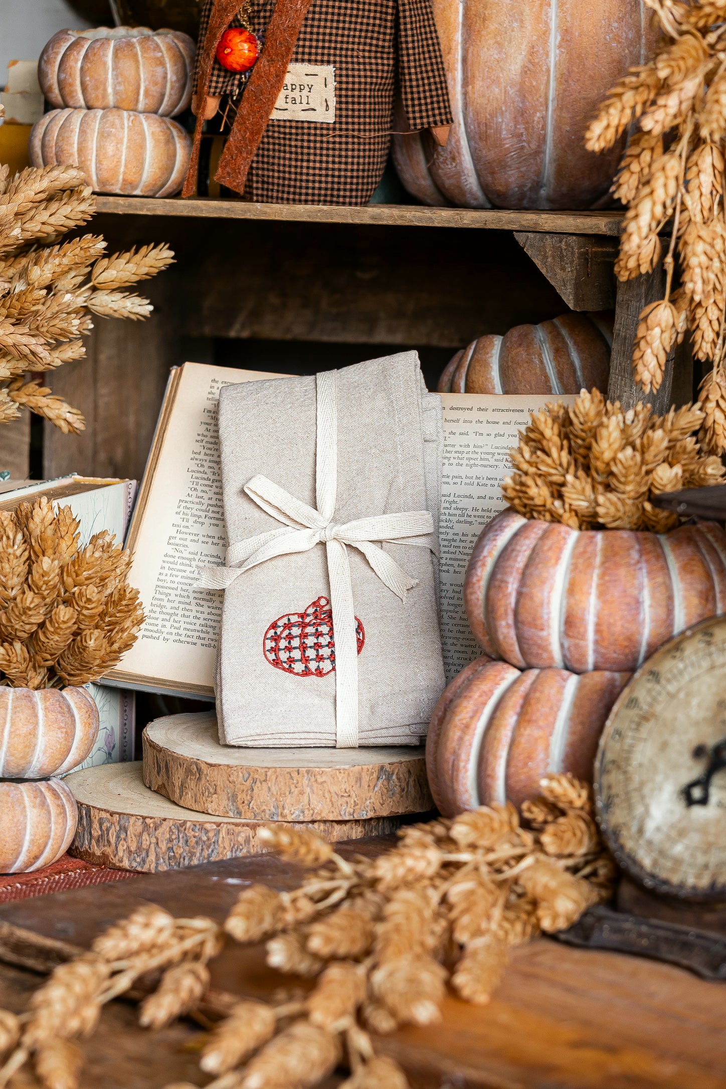 Woven Chambray Embroidered Pumpkins Napkins Creative Co-Op