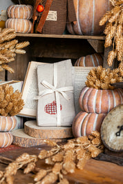 Woven Chambray Embroidered Pumpkins Napkins Creative Co-Op