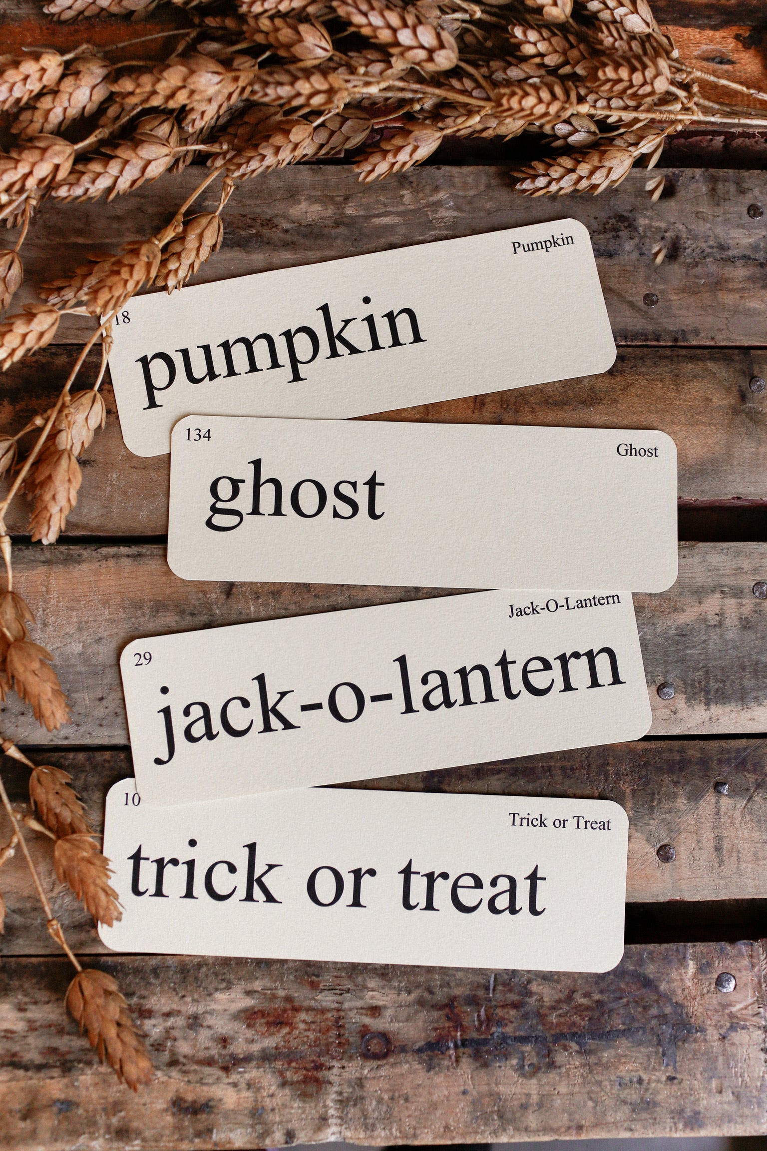 Halloween Flashcard