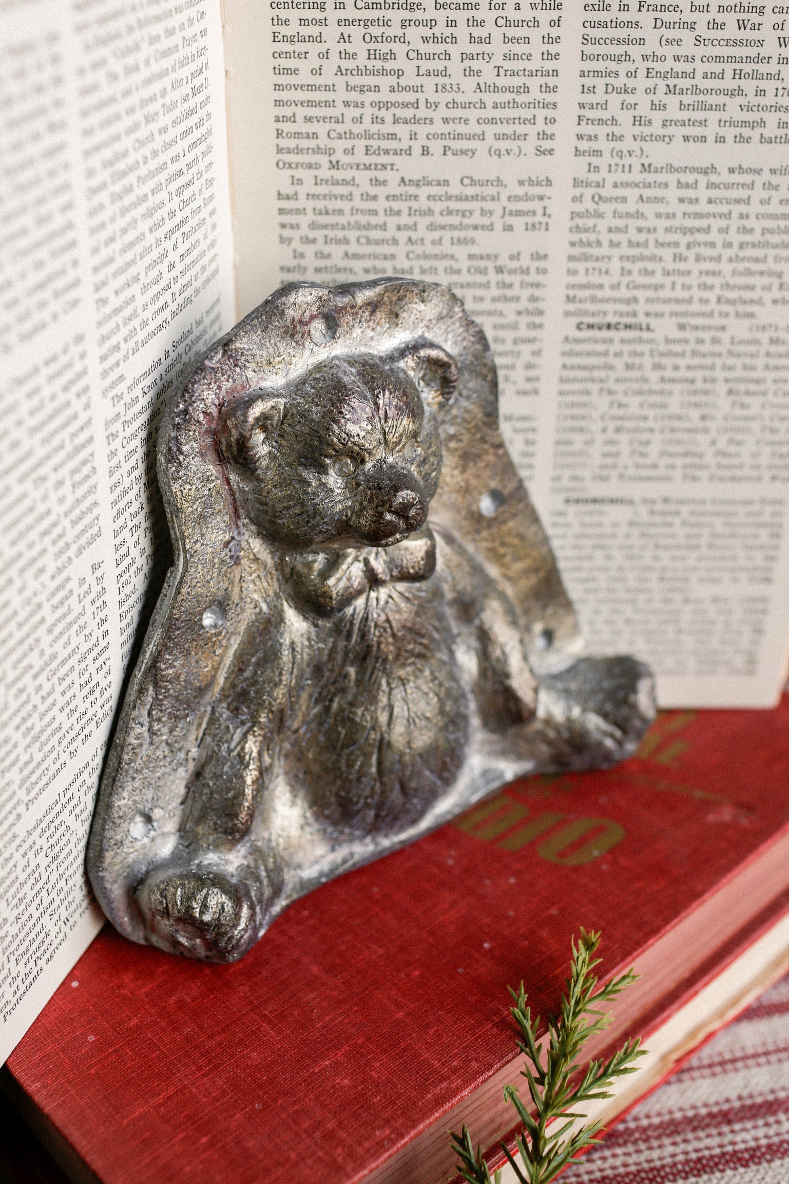Teddy Bear Mold