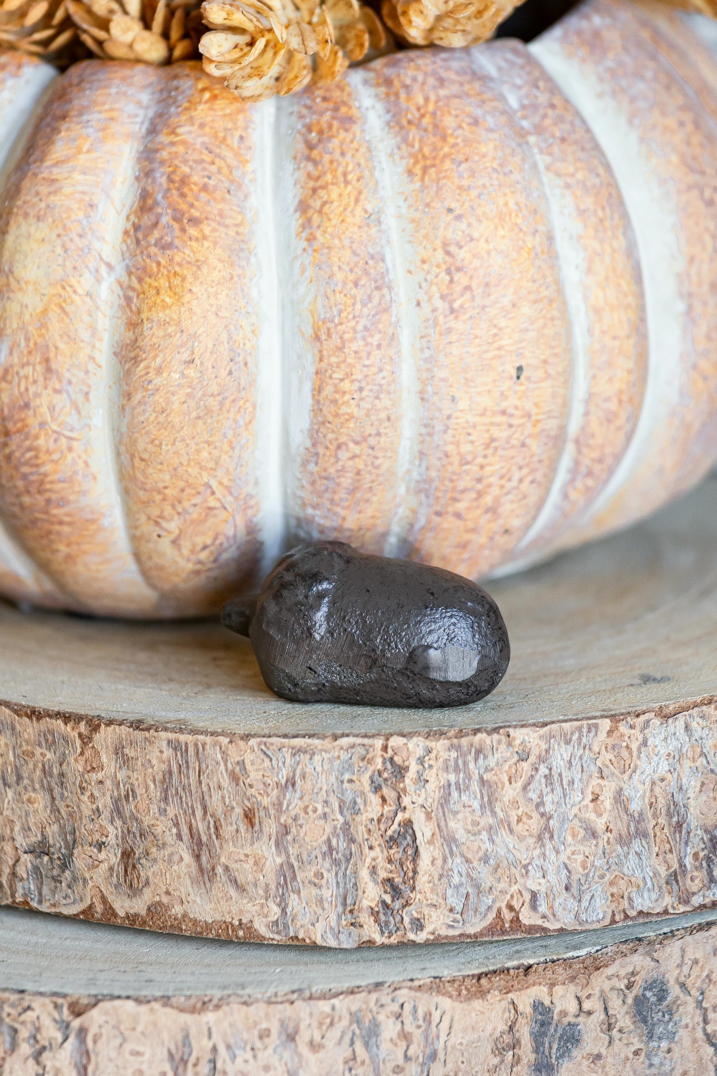 Cast Iron Acorn The Little Burlap Barn