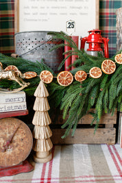 Dried Orange Slice Garland