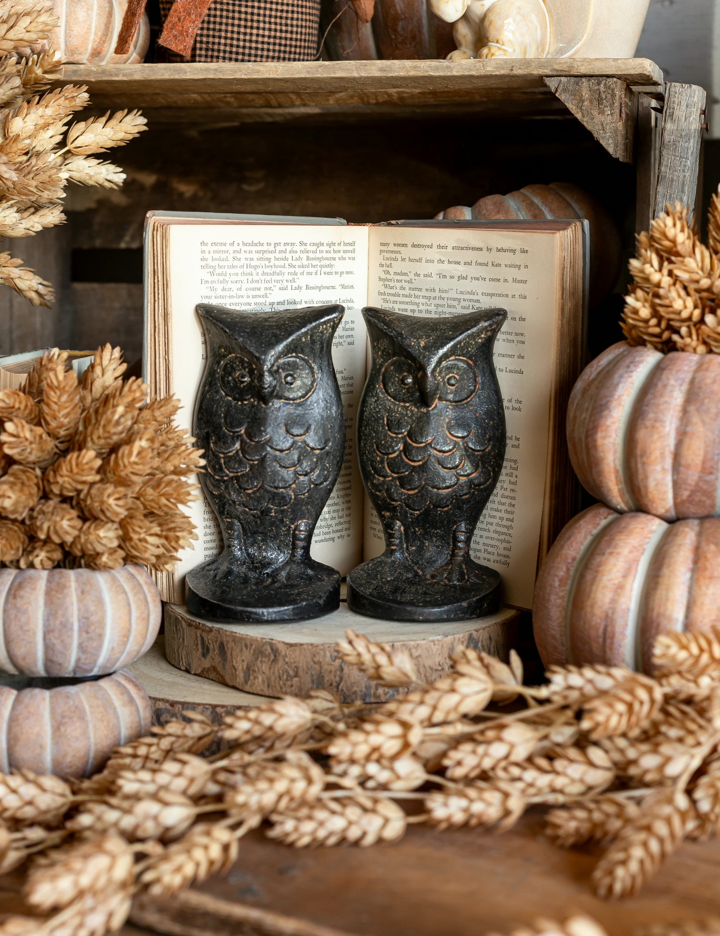 Cast Iron Owl Shaped Bookends Creative Co-Op