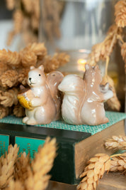 Vintage Squirrel Salt and Pepper Shakers The Little Burlap Barn®