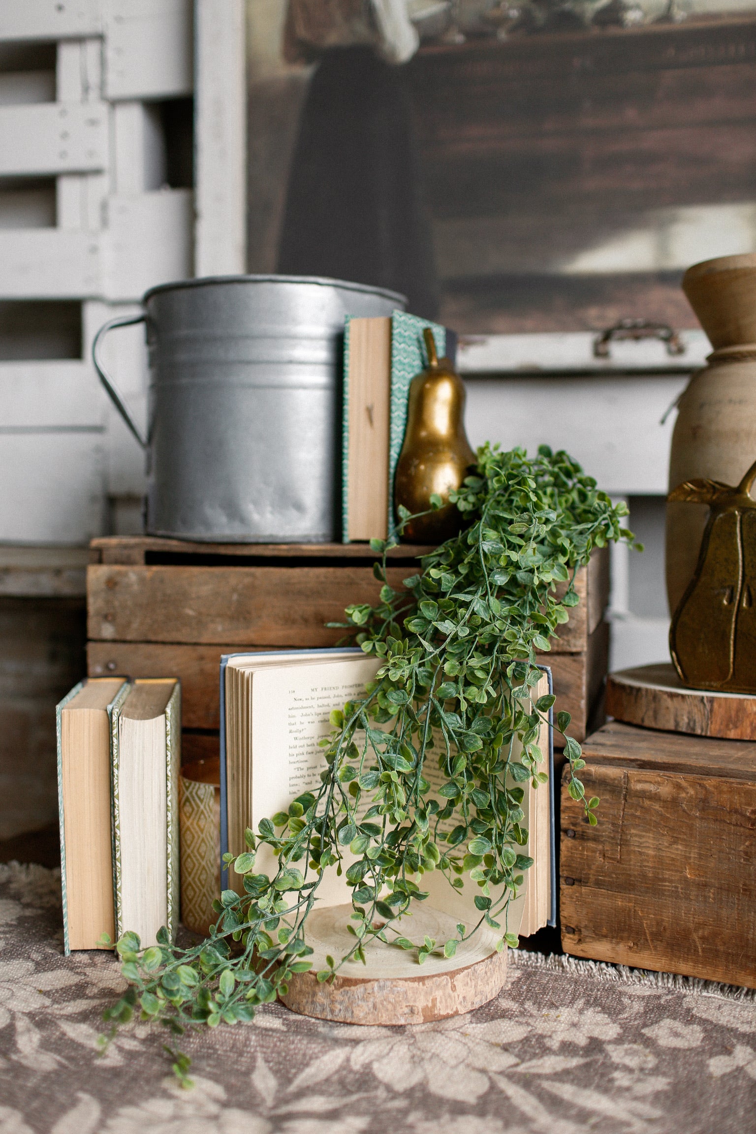 Fairy Vine Hanging Stem
