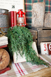 Forest Falls Hanging Stem