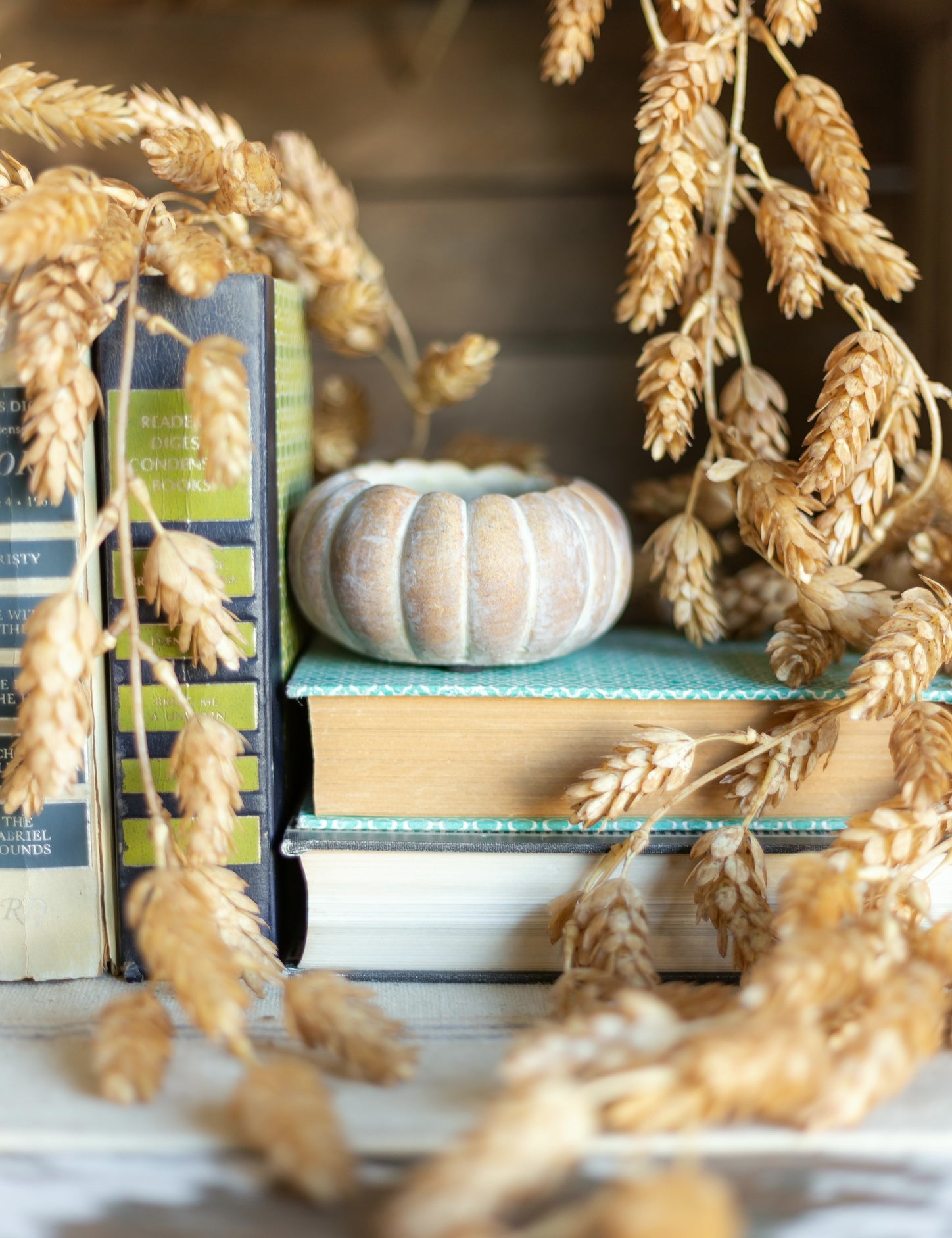 Cinderella Pumpkin Pot The Little Burlap Barn