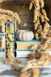 Cinderella Pumpkin Pot The Little Burlap Barn