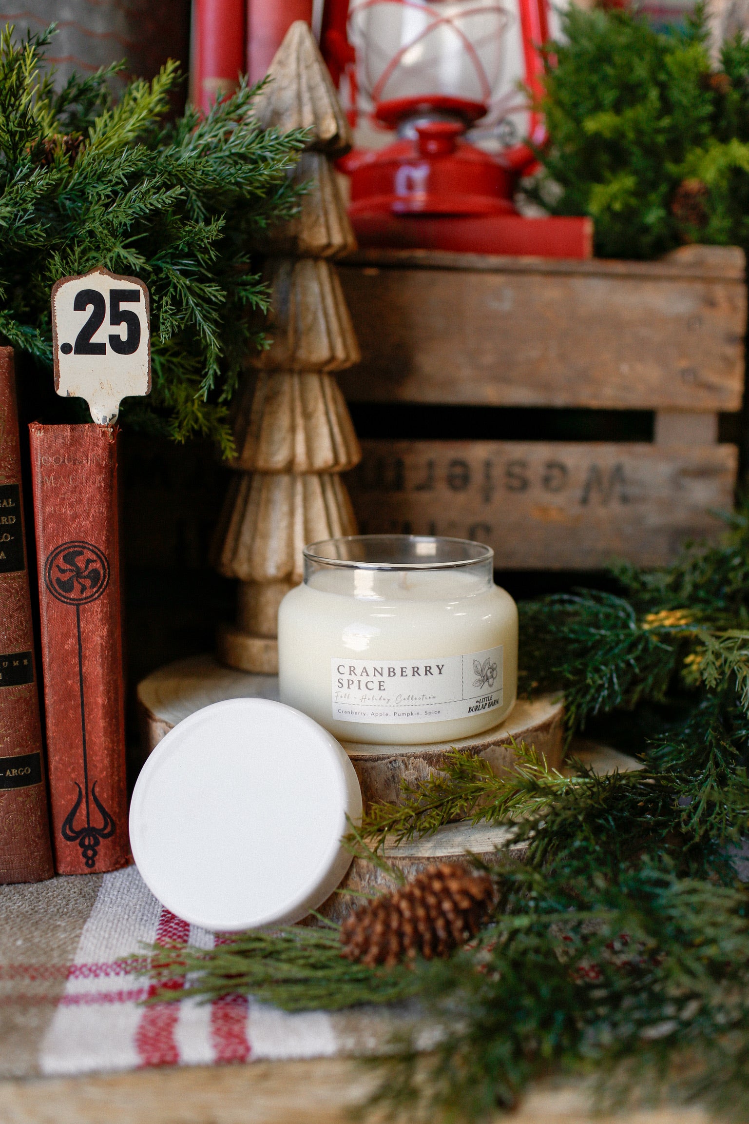 Apothecary Candle-Cranberry Spice