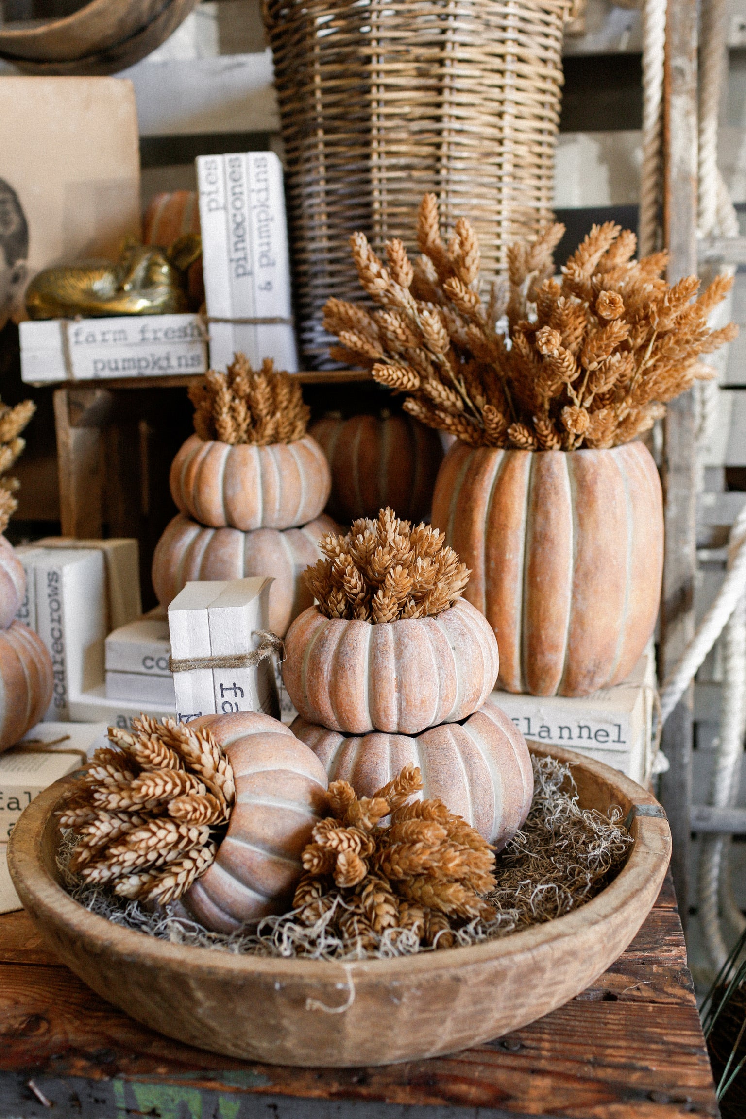 Cinderella Pumpkin Pot