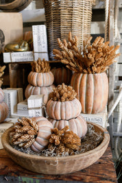 Cinderella Pumpkin Pot