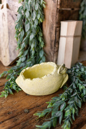 Lemon Concrete Planter