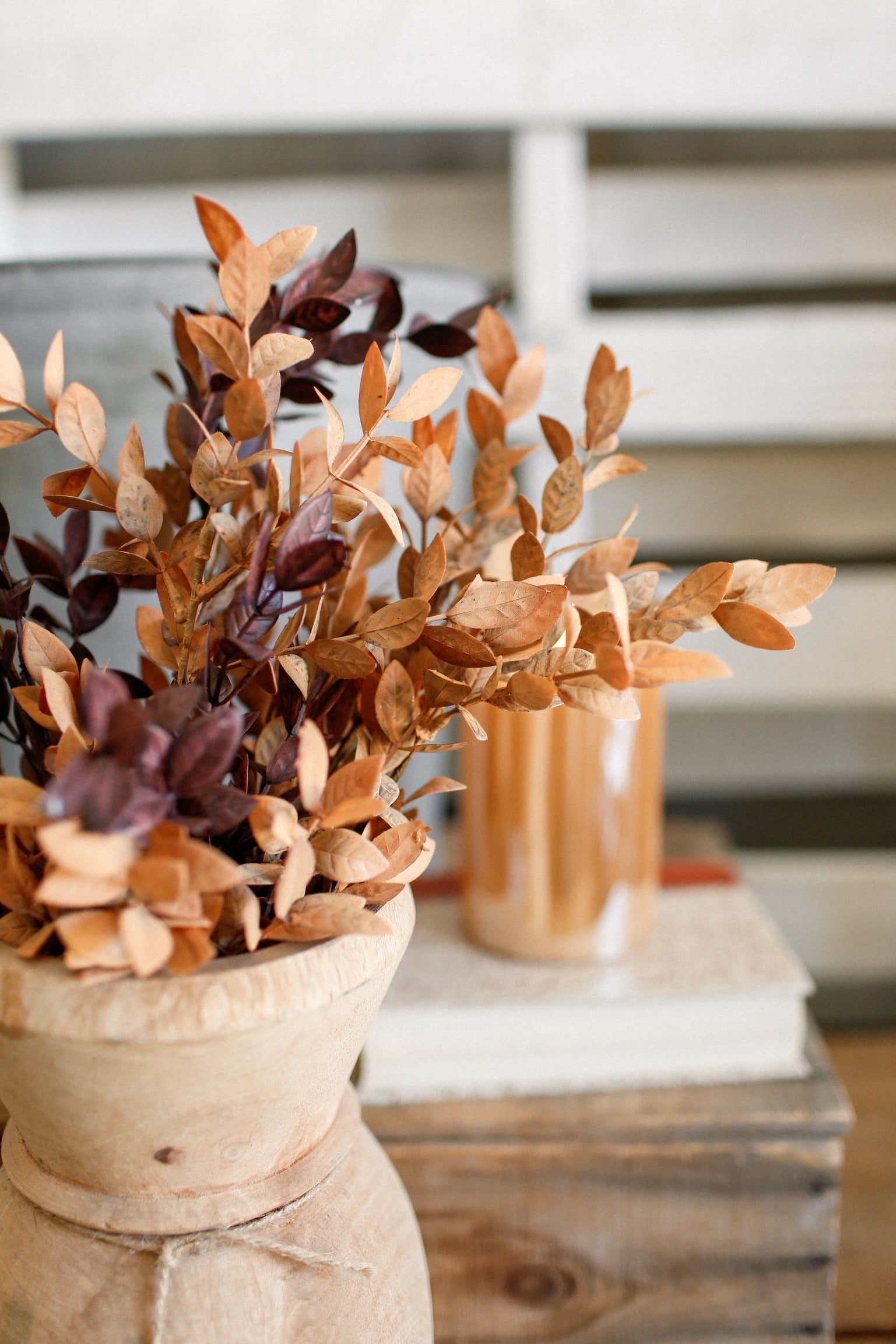 Ombre Woods Bush