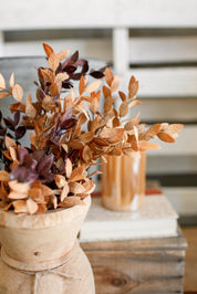 Ombre Woods Bush