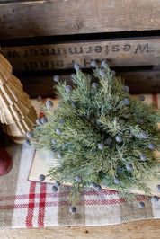 Midnight Juniper Sphere