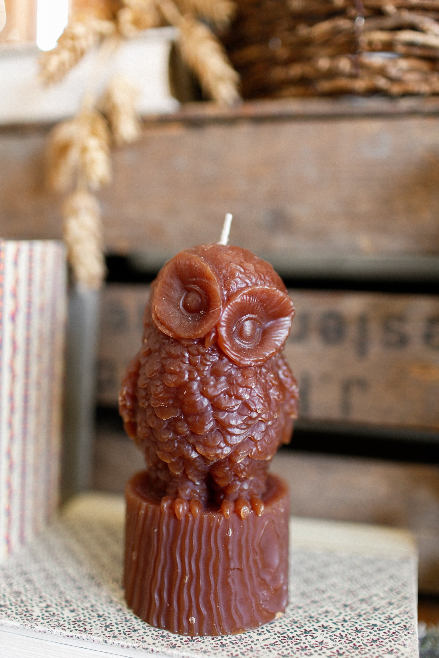 Owl Candle